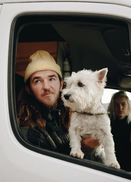 Road Trip en Espagne avec son Chien : Guide Pratique et Itinéraire
