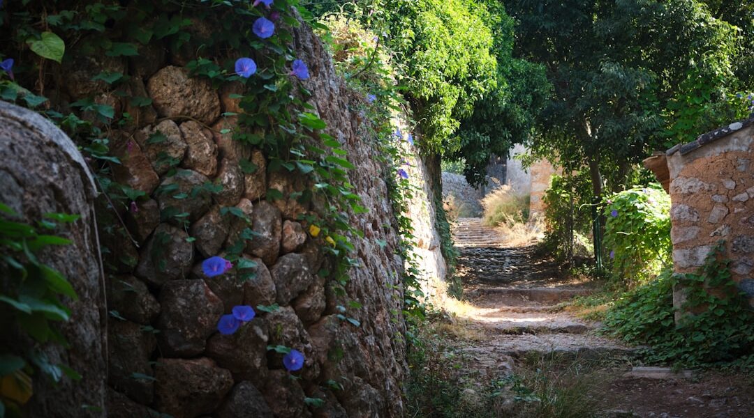 Route des 7 cascades Espagne : itinéraire nature féerique au cœur de la Catalogne 💦🌿