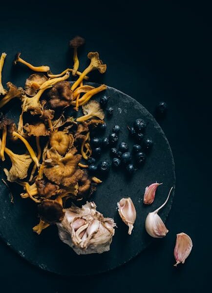 Micoturismo en Espagne : mon itinéraire de road trip automnal à la découverte des champignons et de la gastronomie 🌰🍄🚗