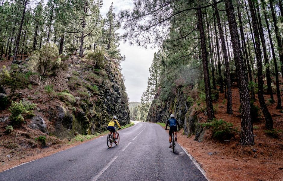 Voyage responsable en Espagne : mon itinéraire vélo au cœur des initiatives écoresponsables 🌿🚴‍♀️