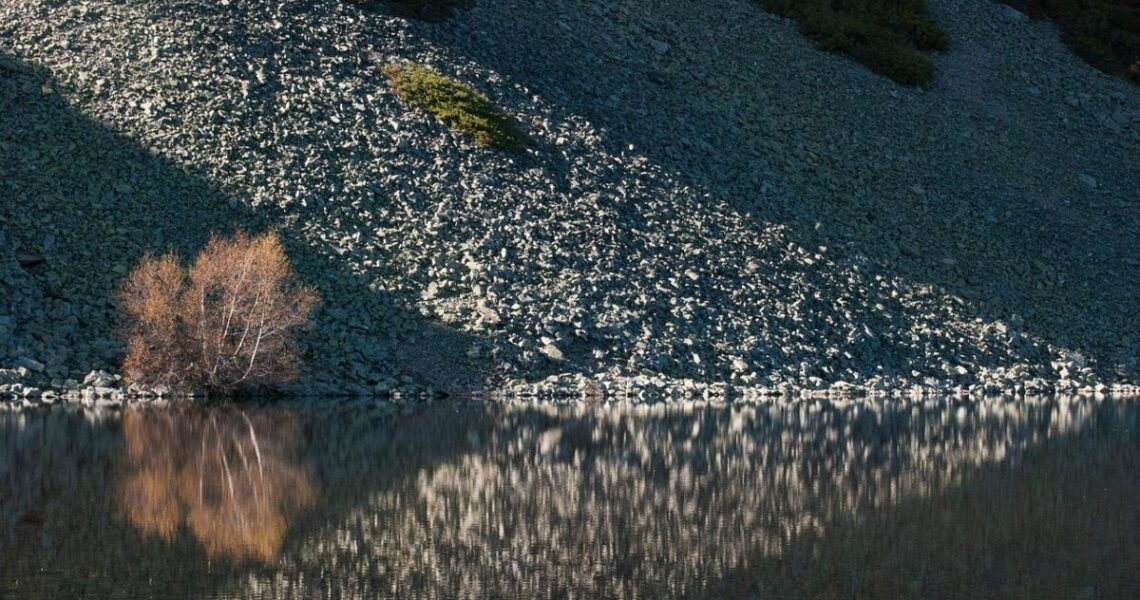 Road trip sur les traces de l’ours brun : Itinéraire responsable pour un safari photo unique dans les Asturies 🐻🚗